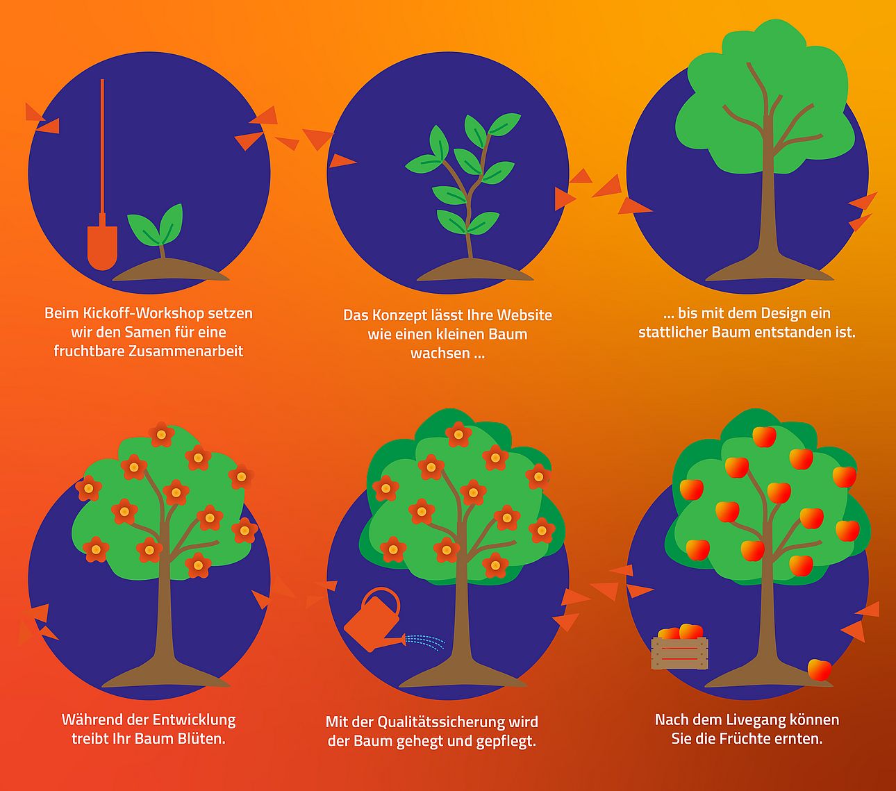 Grafik in orange, blau und grün. Vergleich des Designprozesses mit dem Wachstums eines Baums. Erst wird mit dem Kickoff-Workshop das Bäumchen gepflanzt, nach dem Livegang können vom Kunden die reifen Früchte geernetet werden.