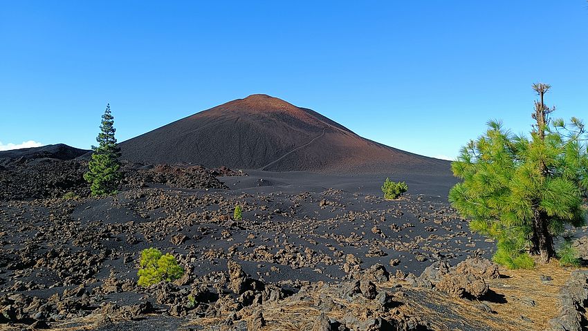 Die Spitze des Vulkans Chinyero auf Teneriffa im Sonnenschein