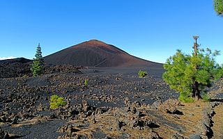 Die Spitze des Vulkans Chinyero auf Teneriffa im Sonnenschein